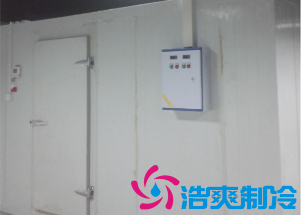 安裝一個冷藏庫造價大約多少錢一平方？_浩爽制冷