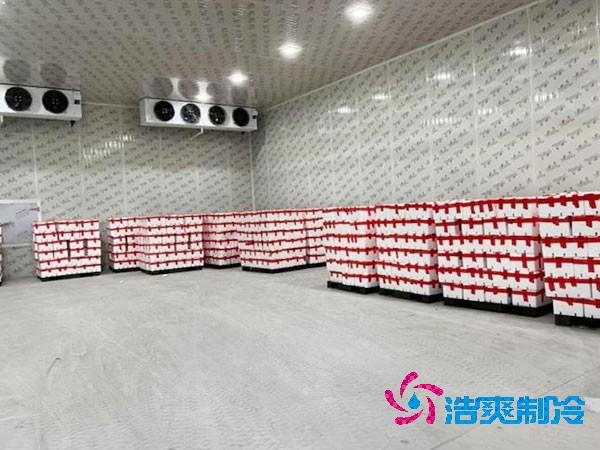 檳榔保鮮冷庫安裝造價(jià)費(fèi)用多少錢？-浩爽制冷